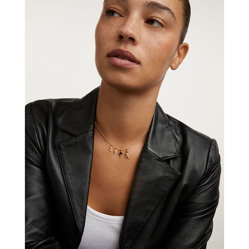 ch01-017-u PDP Charm Dino