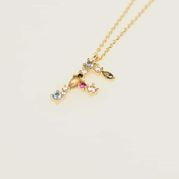 CO01-101-U I AM F GOLD NECKLACE