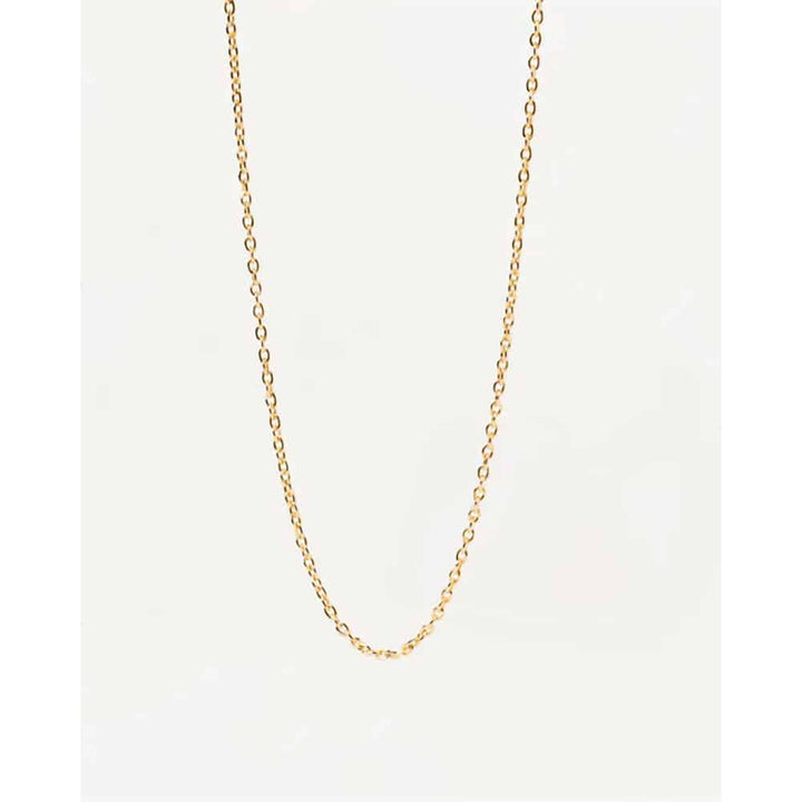 co01-439-u Charm Chain Necklace