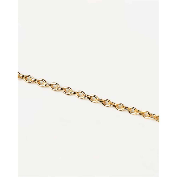 co01-439-u Charm Chain Necklace