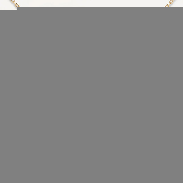 co01-487-u Padlock Gold Necklace