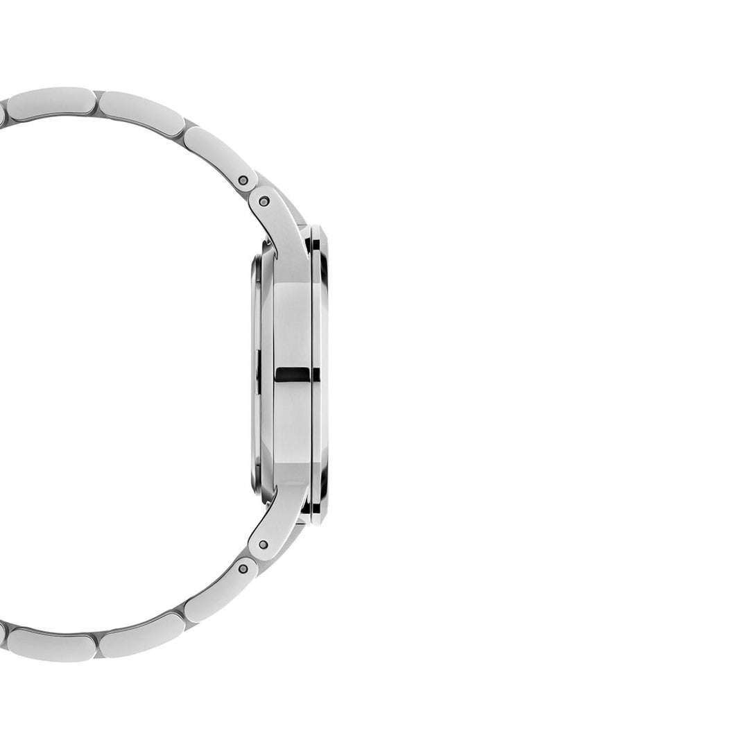 Iconic arctic silver