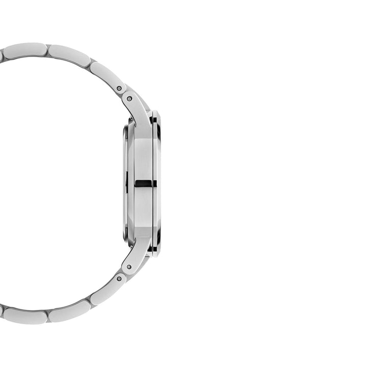 Iconic arctic silver