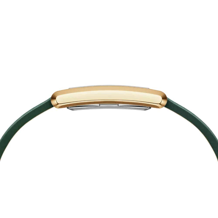 dw00100695 Bound Crocodile Champagne Sunray Gold