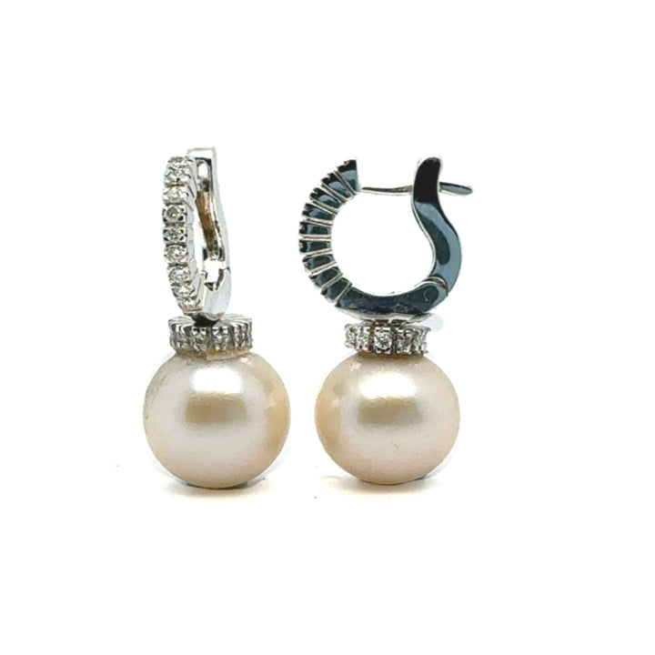 Eternal Luminescence