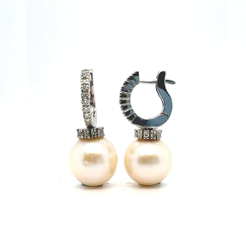 Eternal Luminescence