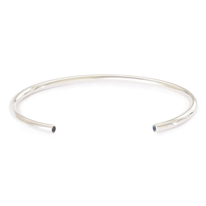 tagba-00029 Power bangle labradorite M