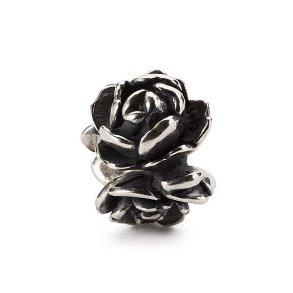 TAGBE-00274 ROSA D'AMORE