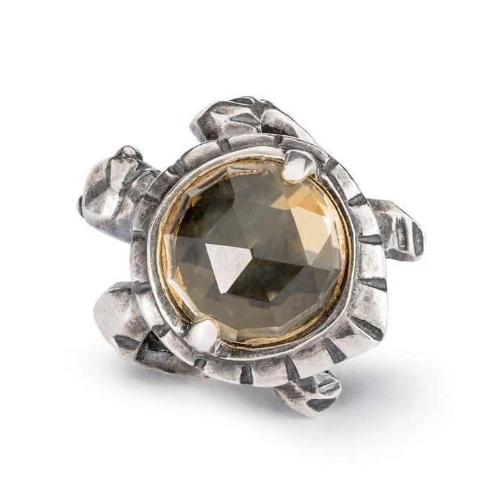 tagbe-00299 Lunga vita