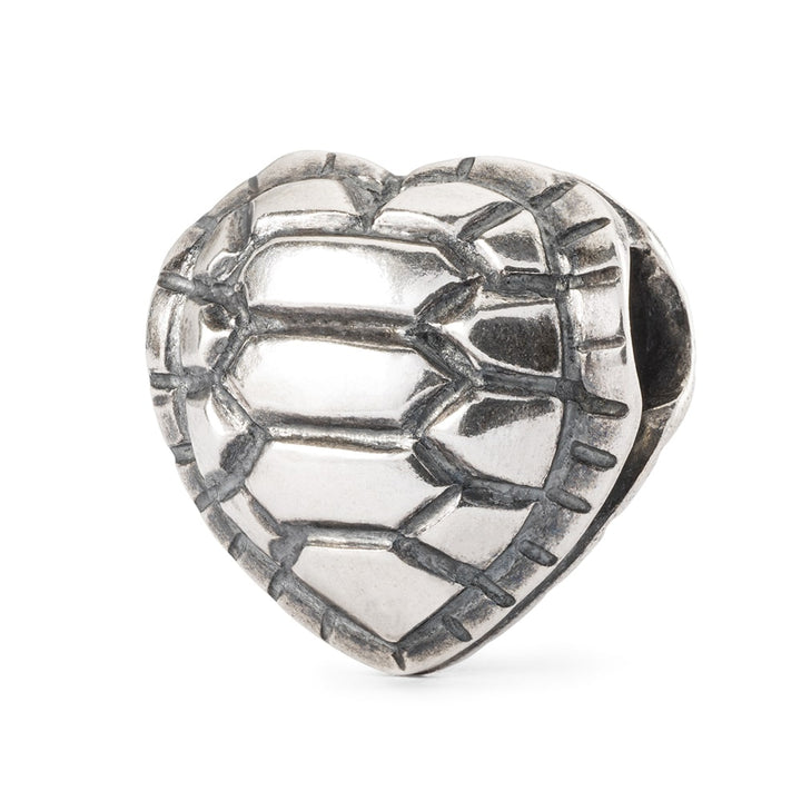 tagbe-00300 Memoria del cuore