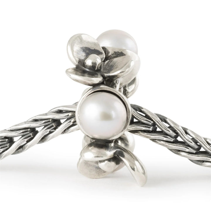 tagbe-00308 Pearl of Patience