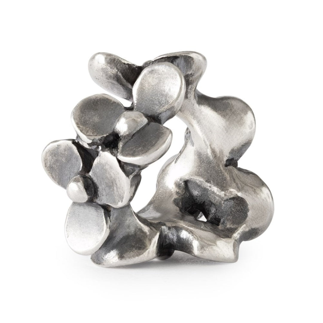 tagbe-00314 Giardino del cuore