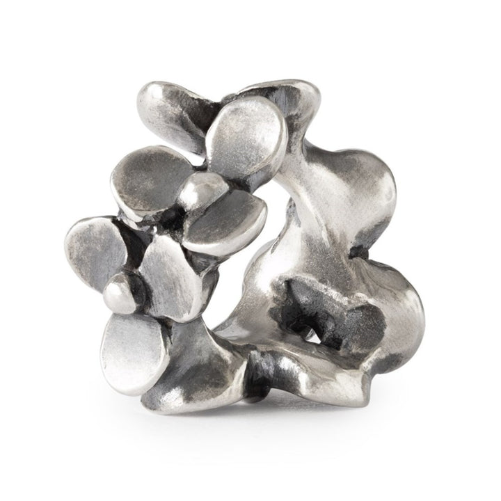 tagbe-00314 Giardino del cuore