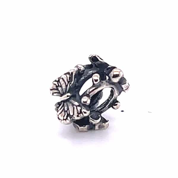 tagbe-10261 Argento start bellezza del cambiamento