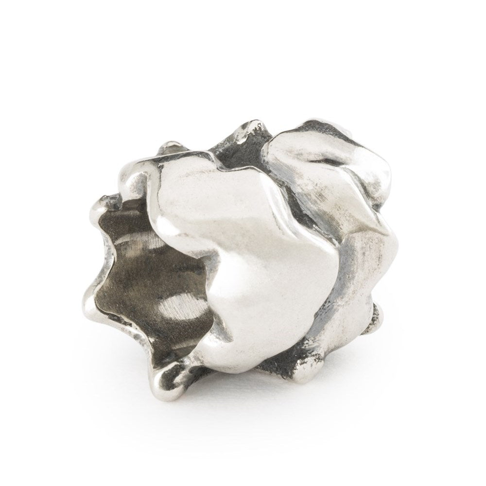 tagbe-10281 il mio sole