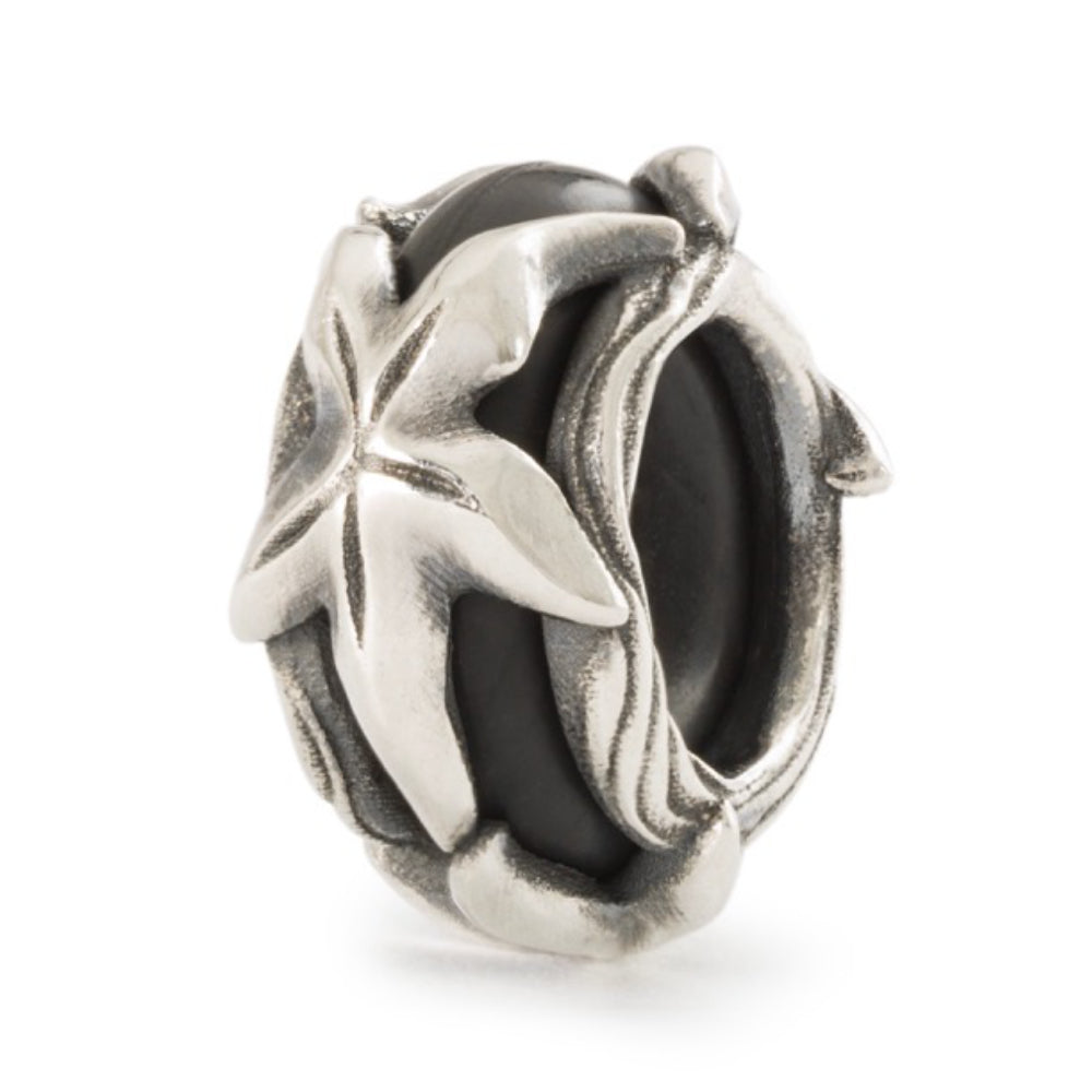 tagbe-10282 Stop stella marina