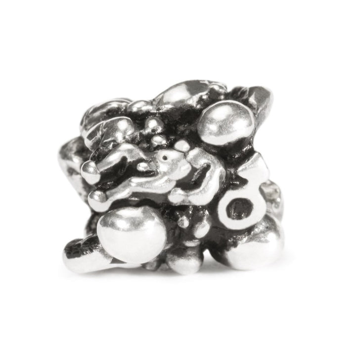 tagbe-20014 transizione uomo