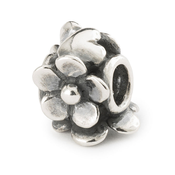 tagbe-20298 Sincere Flowers