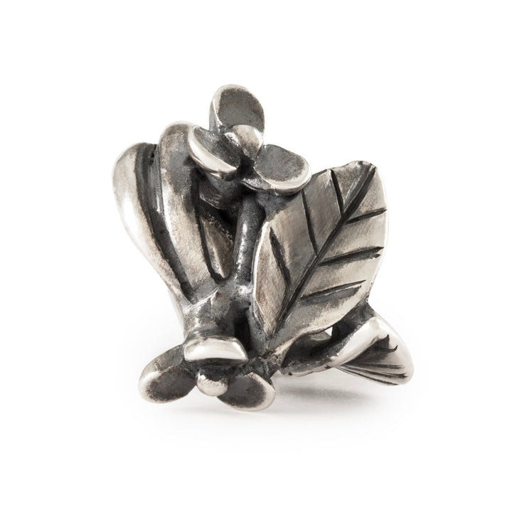 tagbe-30204 Lake Flowers