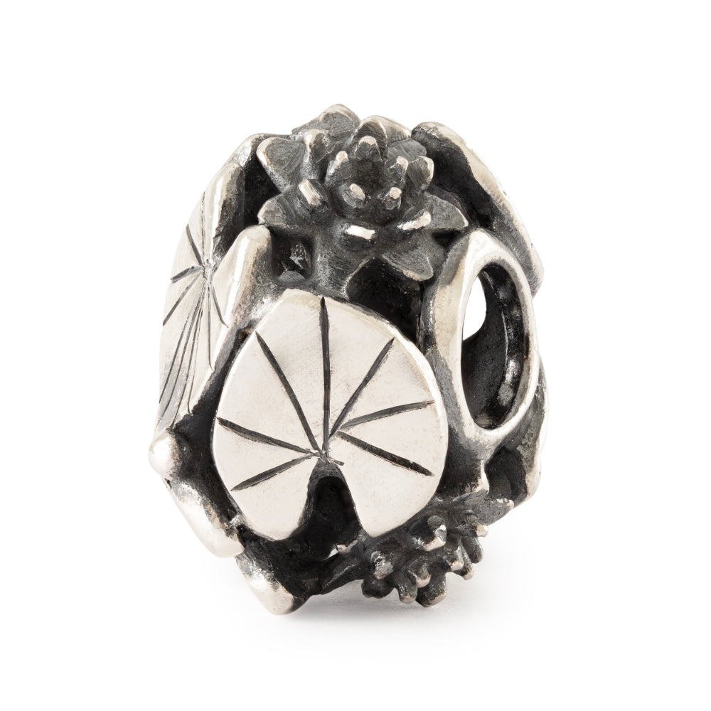 tagbe-30205 Graceful Water Lily