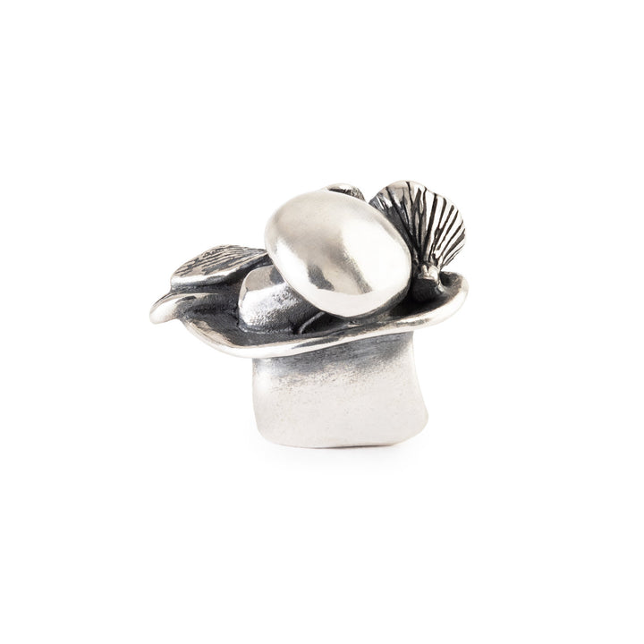 Cappello dell'abbondanza