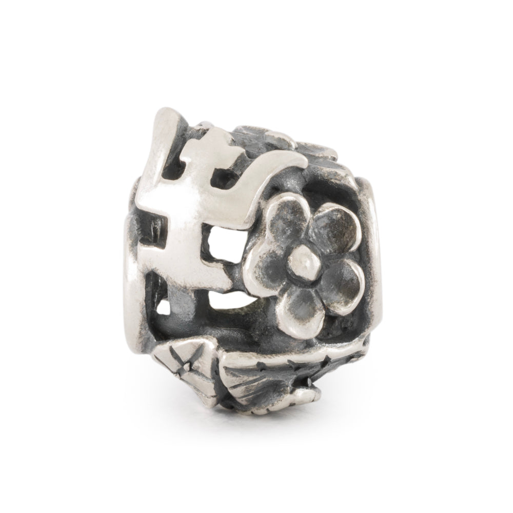 tagbe-50047 Longevity flowers