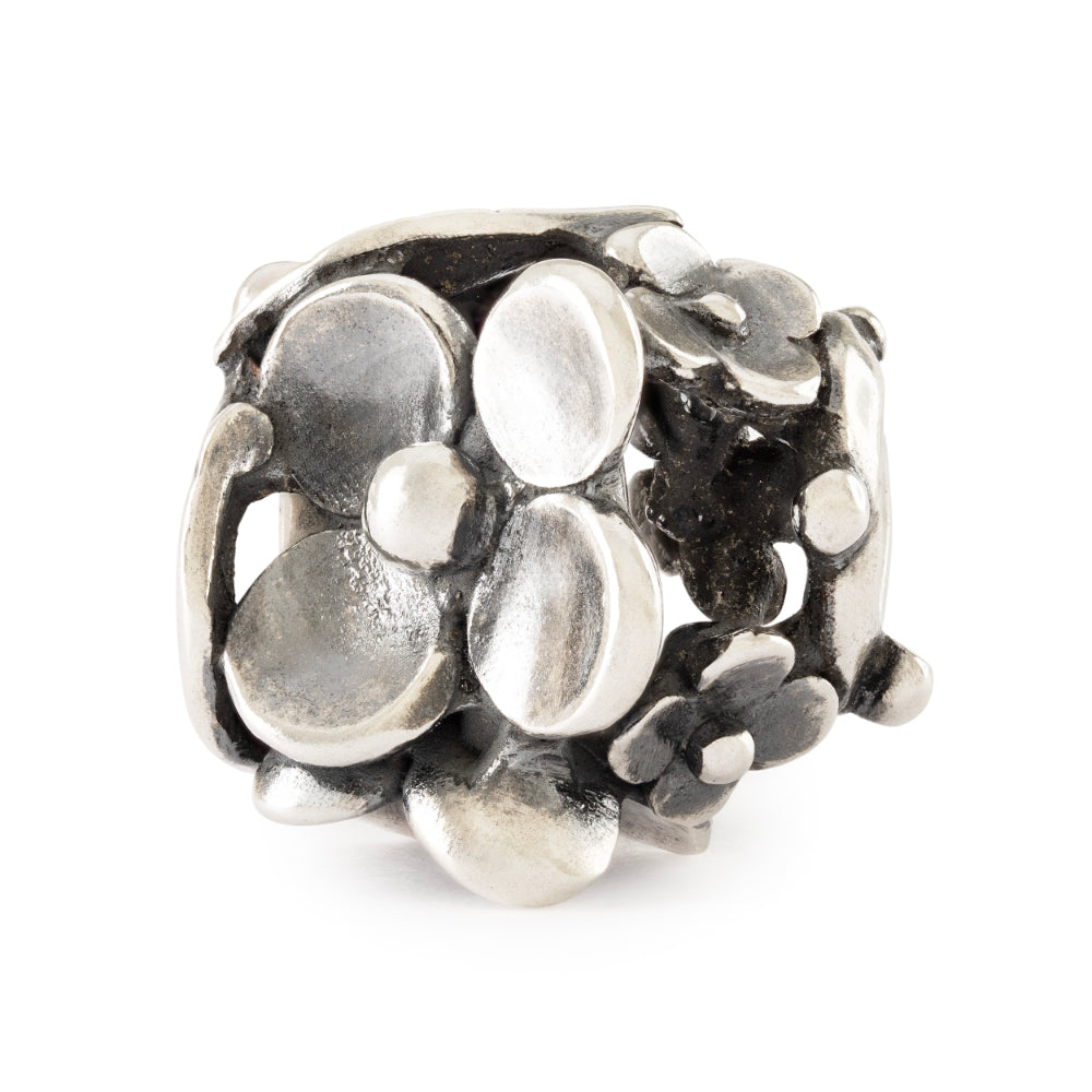 tagbe-50048 Lakeside