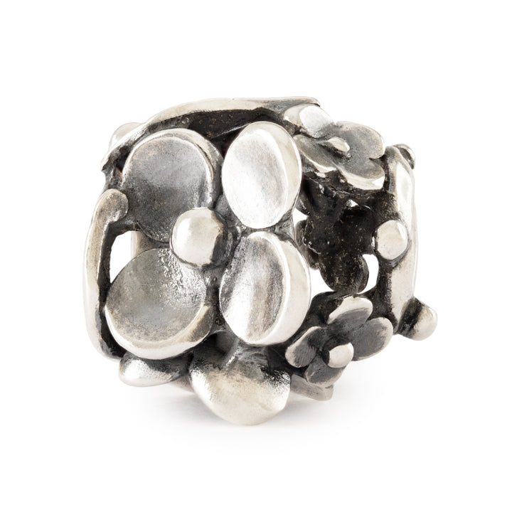 tagbe-50048 Lakeside