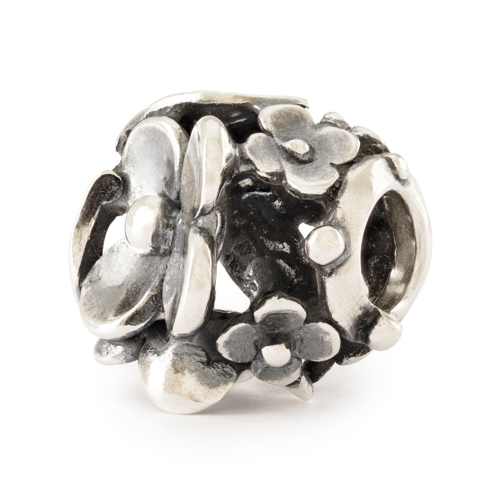 tagbe-50048 Lakeside