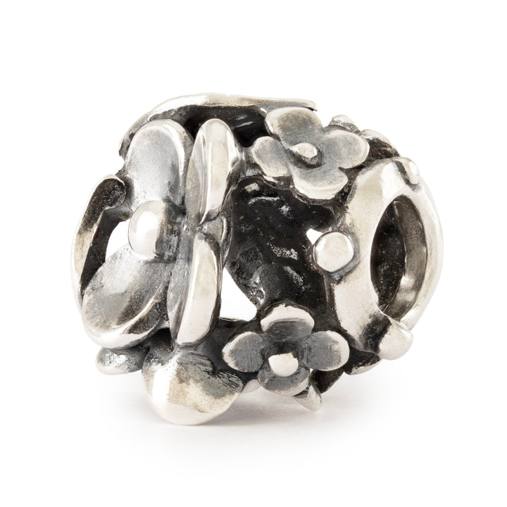 tagbe-50048 Lakeside