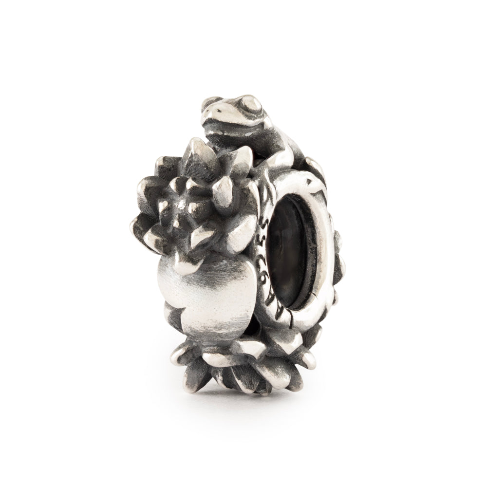 tagbe-50049 stop Salto di gioia