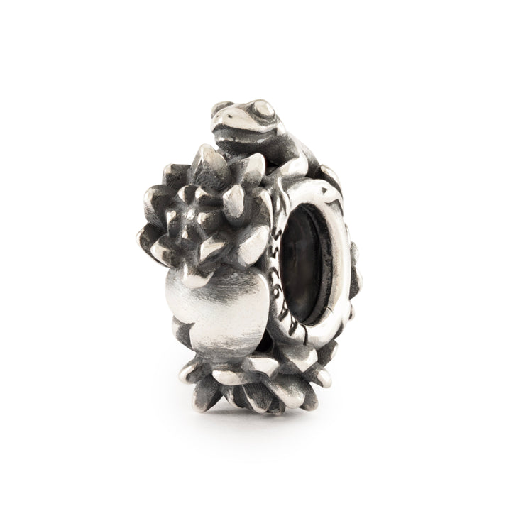 tagbe-50049 stop Salto di gioia