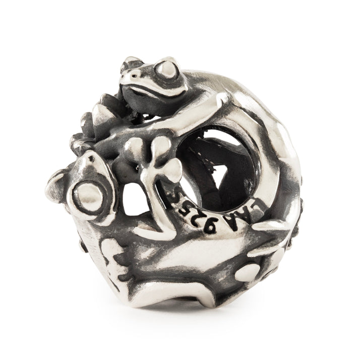 tagbe-60013 Waltz of the Lake