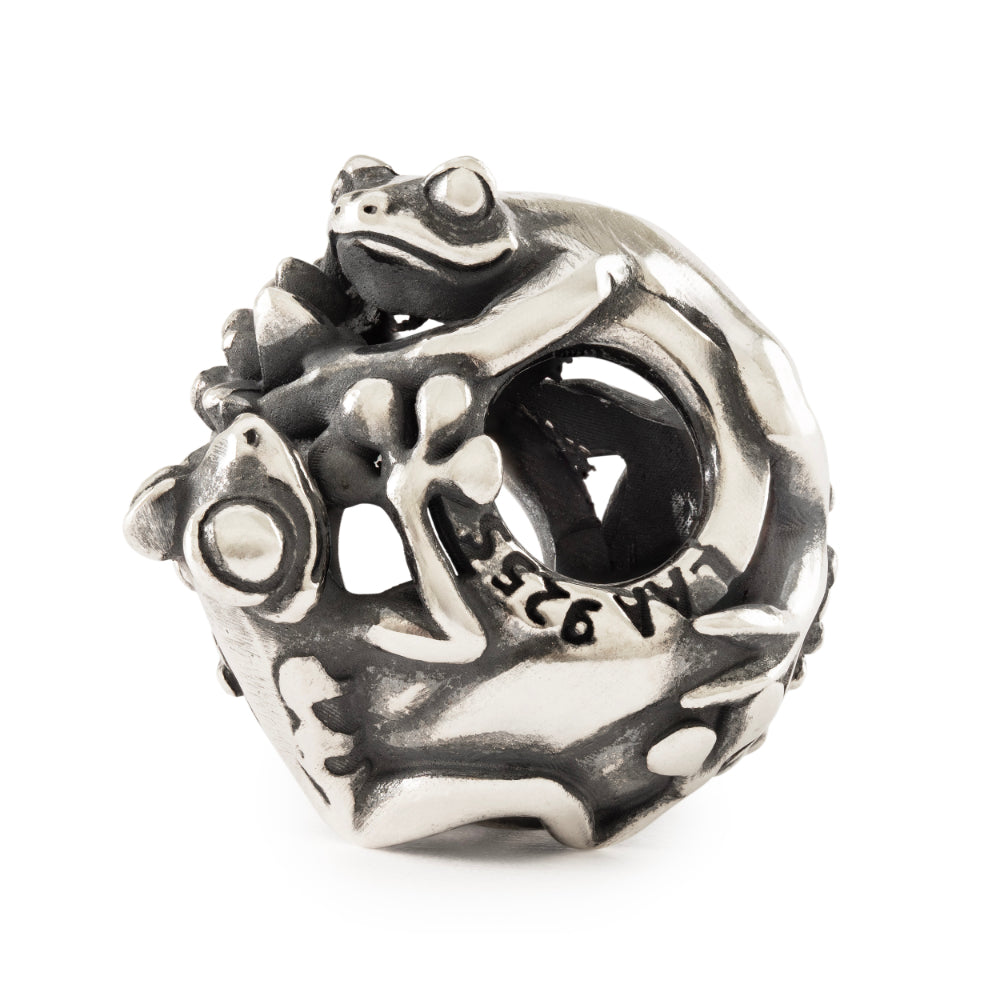 tagbe-60013 Waltz of the Lake