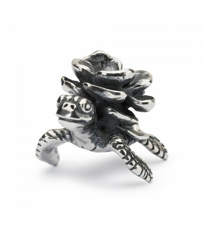 TAGPE-40115 TURTLE FLOWER