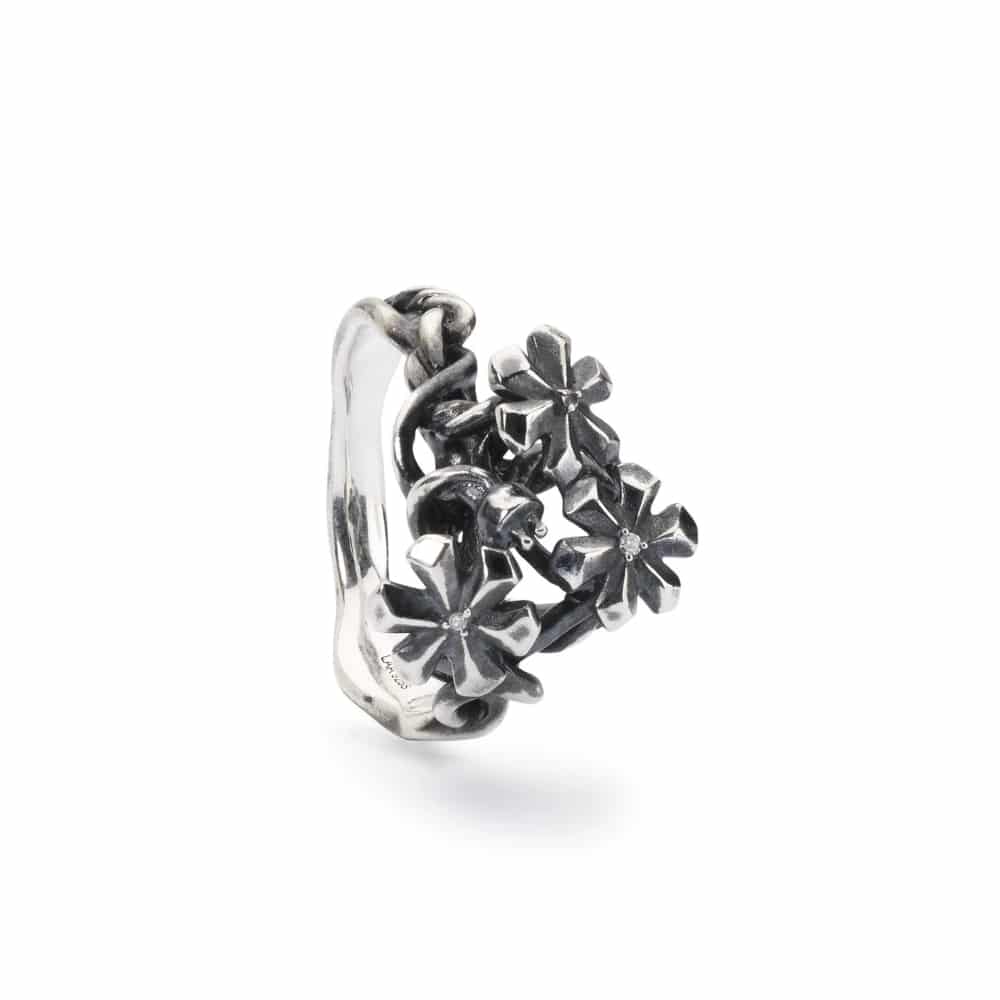 Anello luce di stella