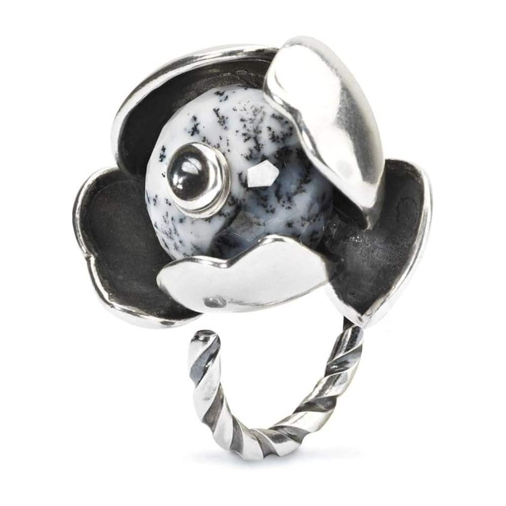 Anello del cambiamento a spirale