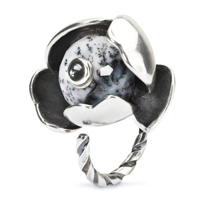 Anello del cambiamento a spirale