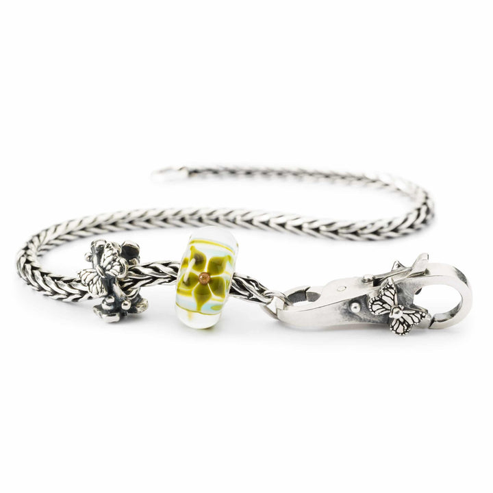 Start bellezza del cambiamento