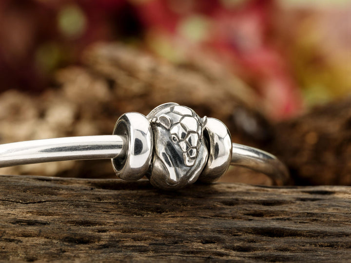 tglbe-20319 Armadillo della serenità