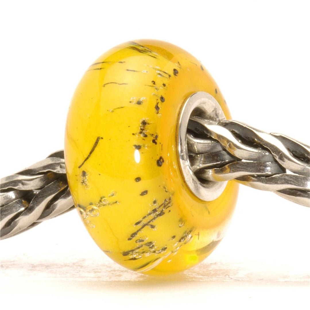 tglbe-10234 acciaio arancione