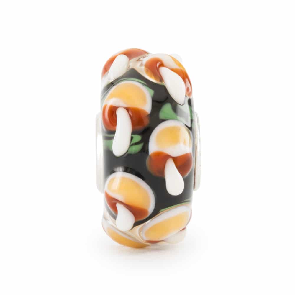 tglbe-20424 Wisdom Mushrooms