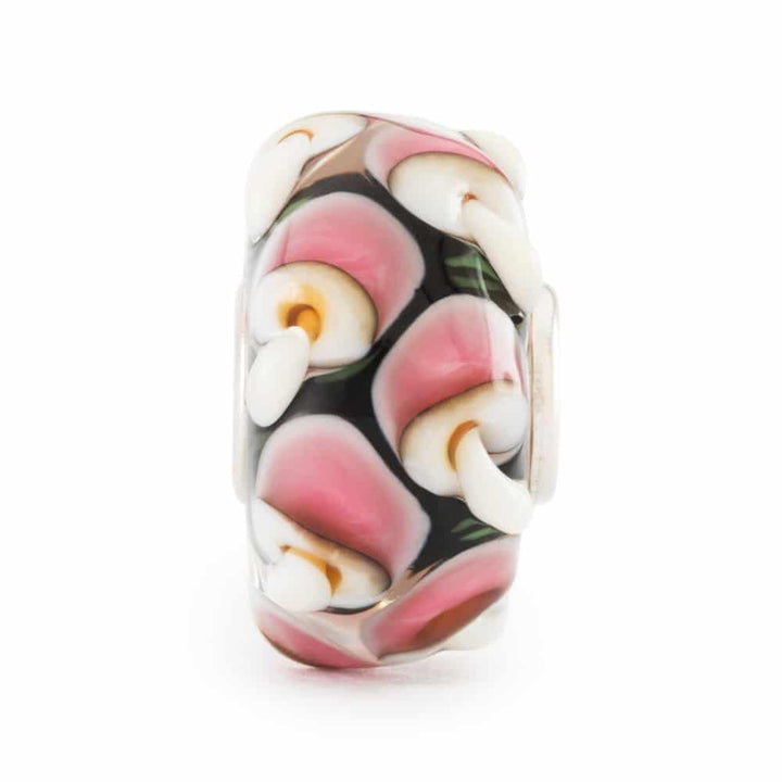 tglbe-20426 Funghetti della vitalità