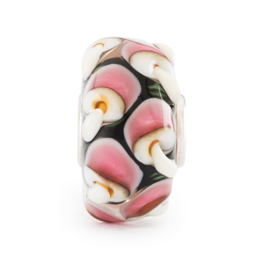 tglbe-20426 Vitality Mushrooms