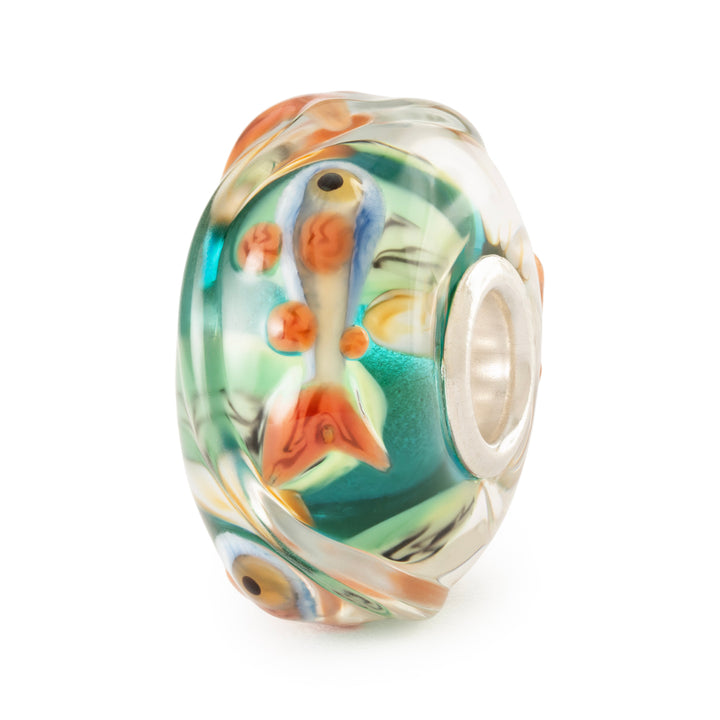 Pesciolini danzanti