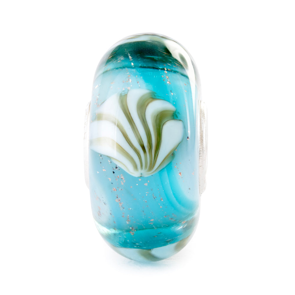 tglbe-20464 Precious shell