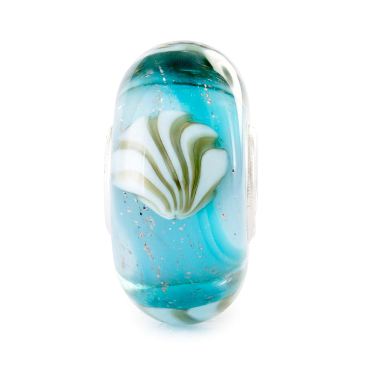 tglbe-20464 Precious shell