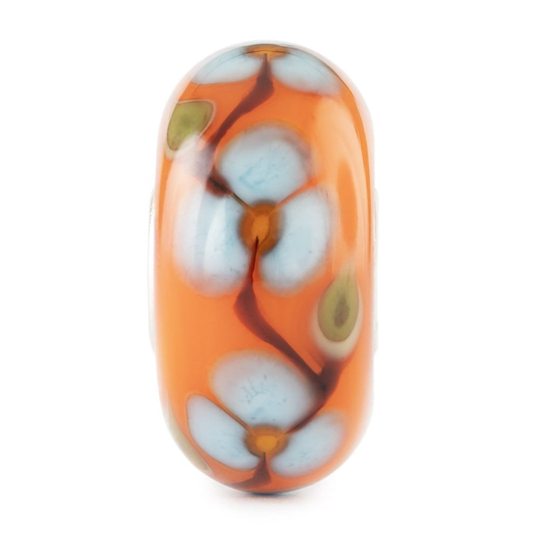 tglbe-20466 Petali di zucchero