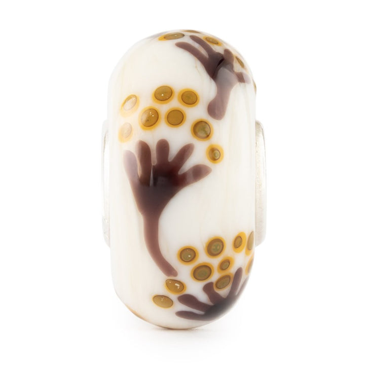 tglbe-20468 Zenzero candito