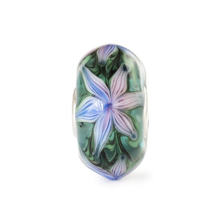 Fiore d'acqua